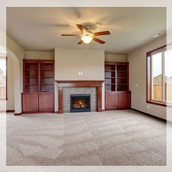 Carpet Cleaning