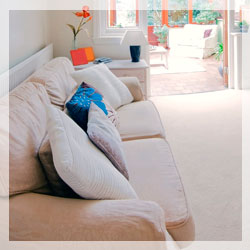 Upholstery Cleaning