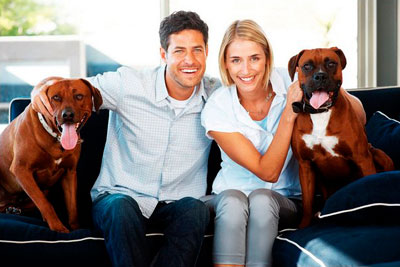 Upholstery Cleaning