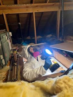 <center>Attic</center>