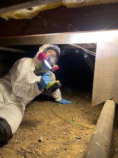 crawlspace