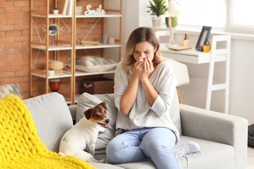 dog dander allergy