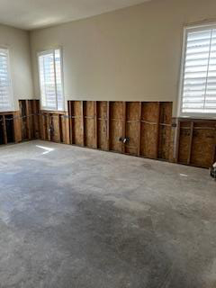Mold & Mycotoxin Remediation