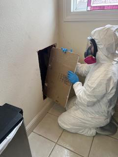 Mold & Mycotoxin Remediation