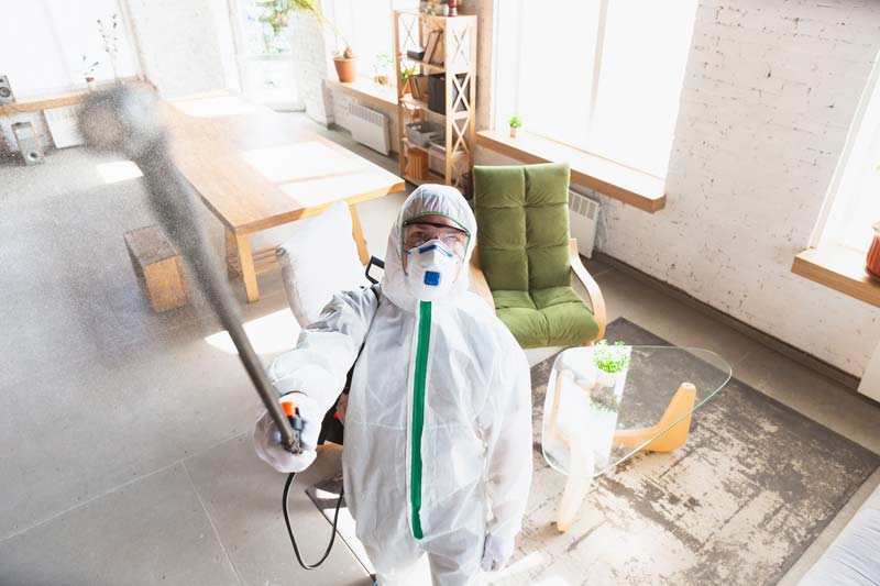remediation services